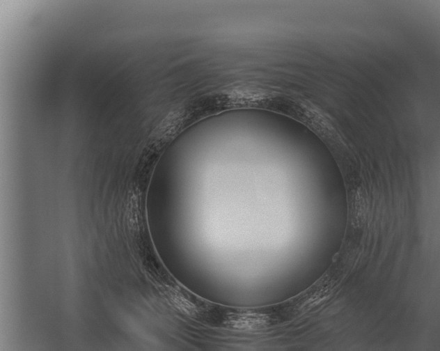 X0000060230463200511041235