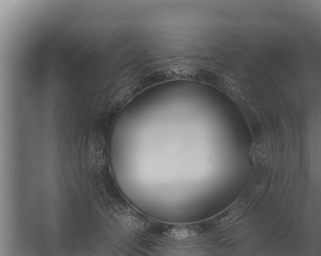 X0000060230464200511041235