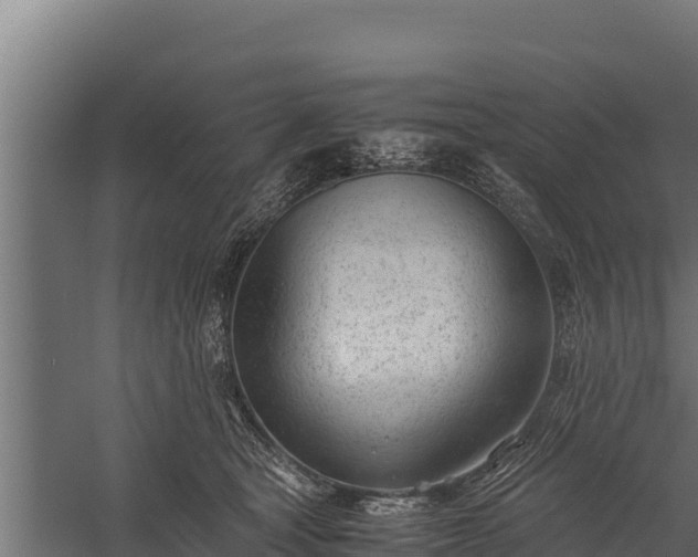 X0000060230465200511041235