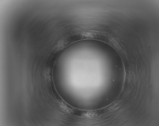 X0000060230466200511041235