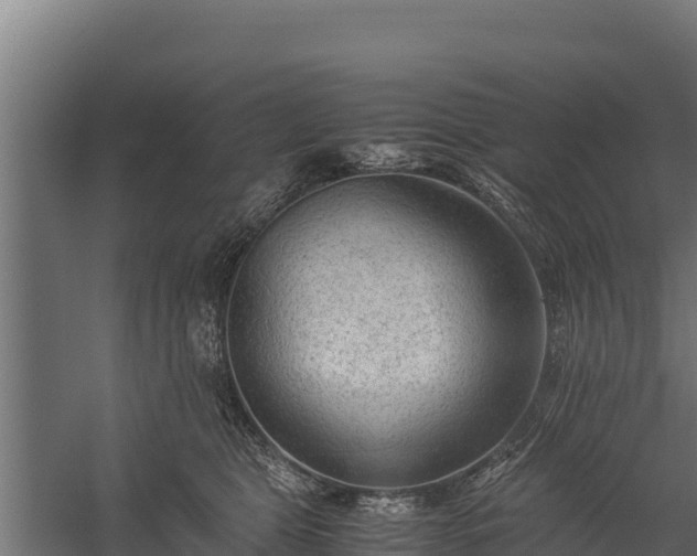 X0000060230469200511041235