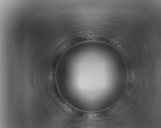 X0000060230472200511041235