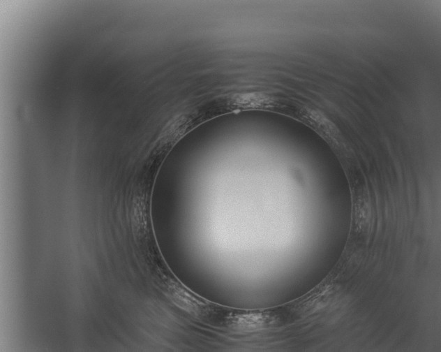 X0000060230473200511041235