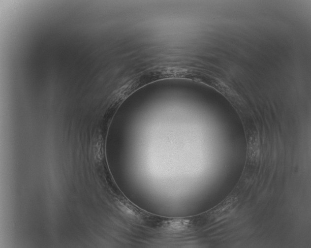 X0000060230474200511041235