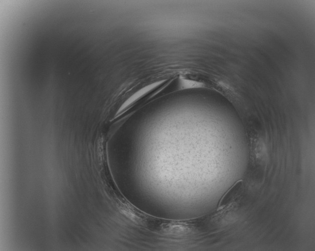 X0000060230475200511041235