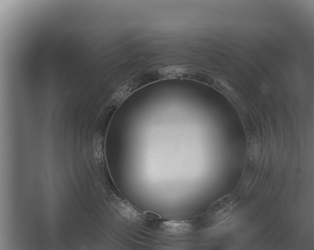 X0000060230477200511041235