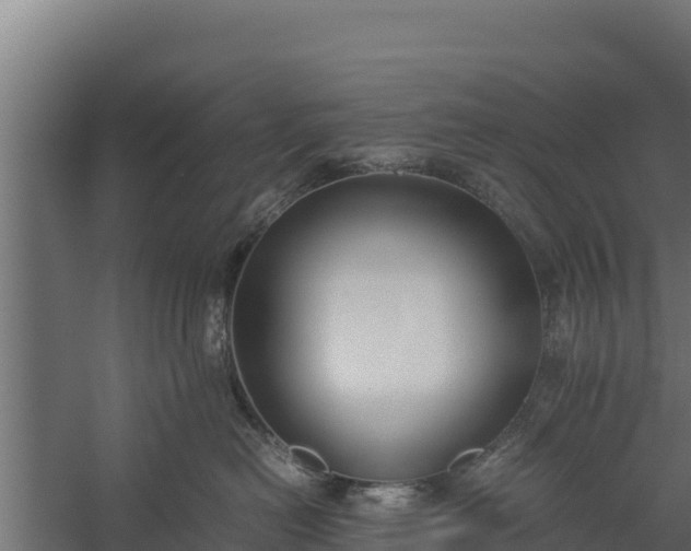 X0000060230478200511041235