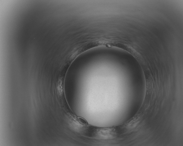 X0000060230479200511041235