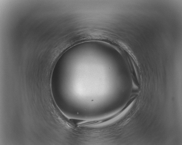 X0000060230481200511041235