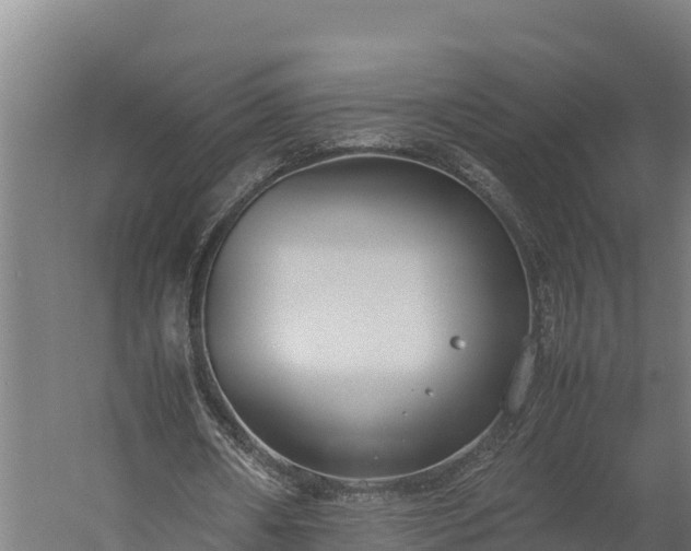 X0000060230482200511041235