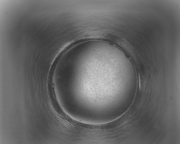 X0000060230483200511041234