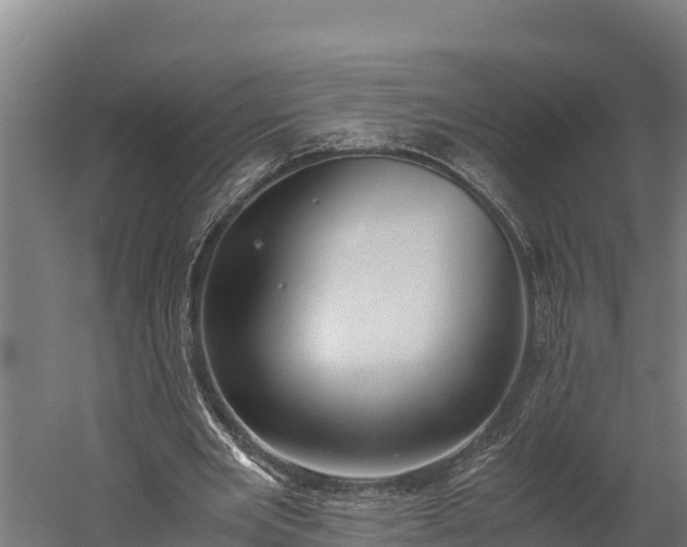 X0000060230485200511041234