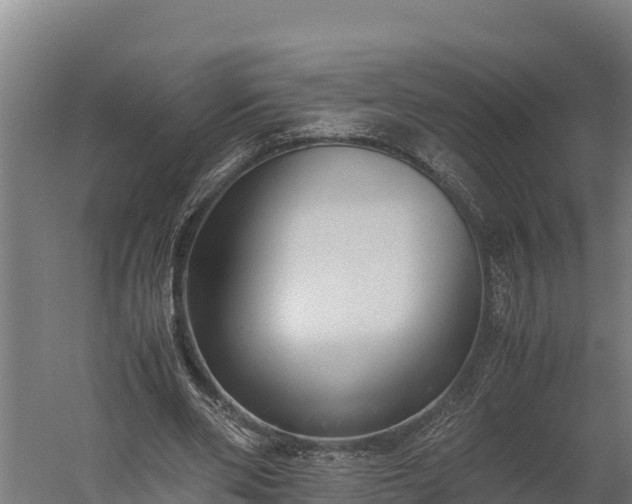 X0000060230486200511041234