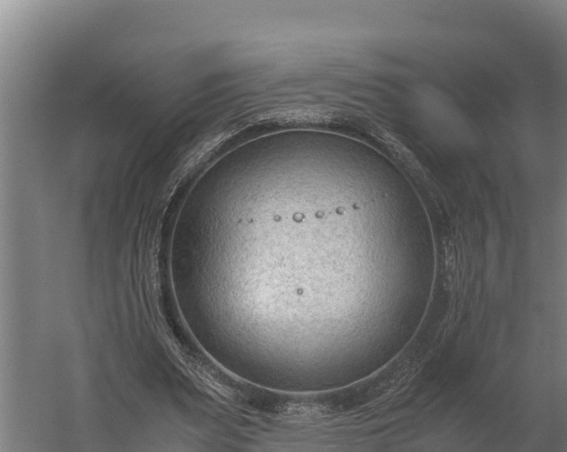 X0000060230487200511041234