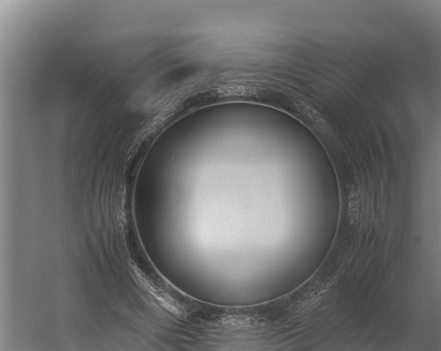 X0000060230490200511041234