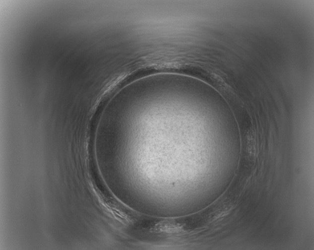 X0000060230491200511041234