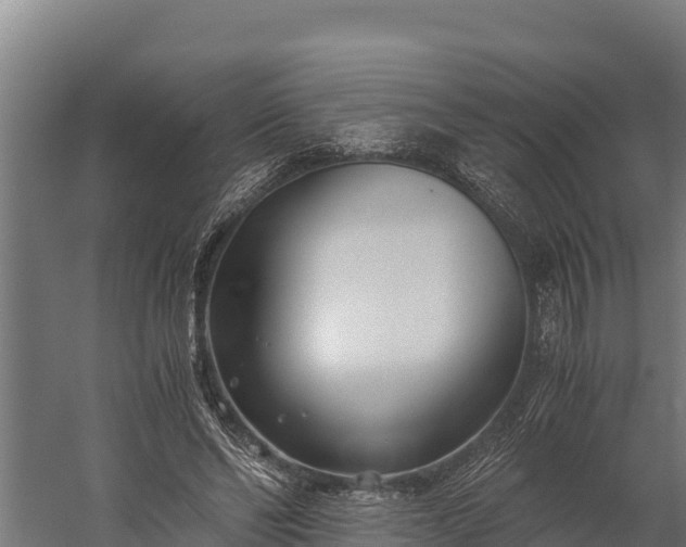 X0000060230494200511041234