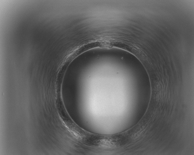 X0000060230496200511041234