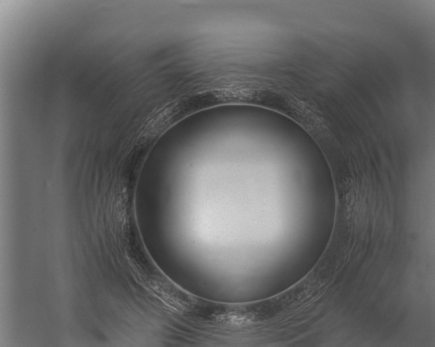 X0000060230498200511041234