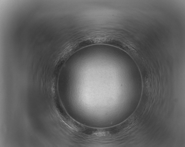 X0000060230499200511041234