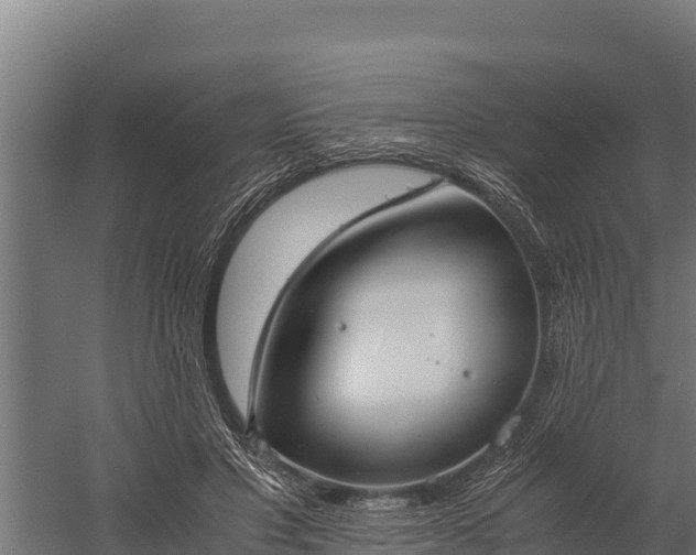 X0000060230501200511041234