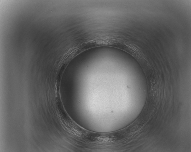 X0000060230502200511041234