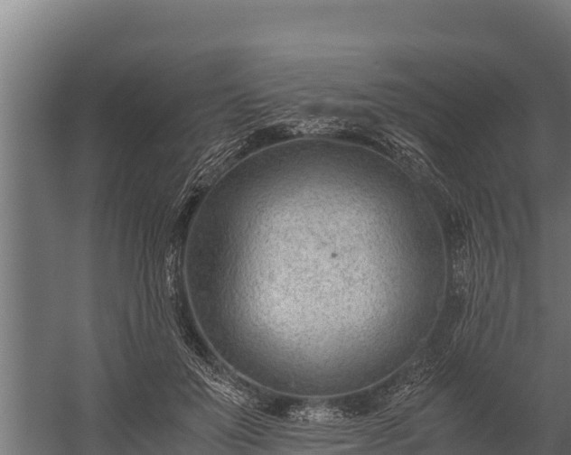 X0000060230503200511041234