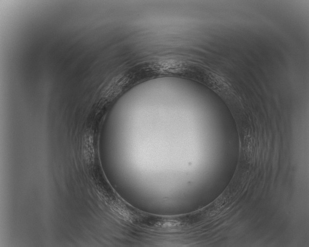 X0000060230506200511041234