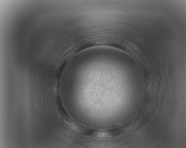 X0000060230507200511041234