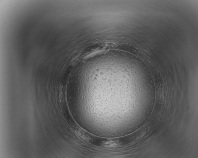 X0000060230511200511041234