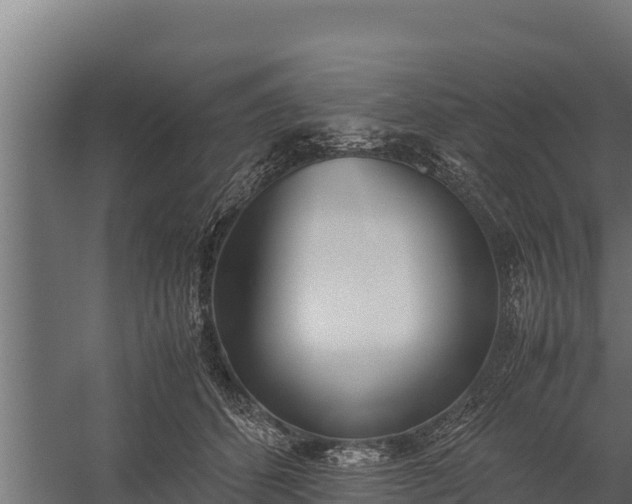 X0000060230512200511041234