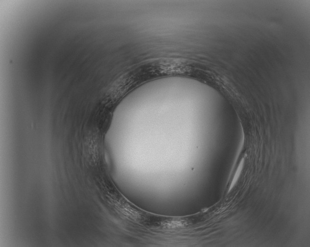 X0000060230513200511041234