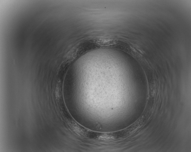 X0000060230515200511041234