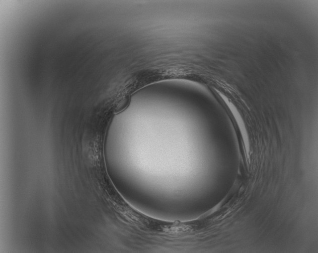 X0000060230517200511041234