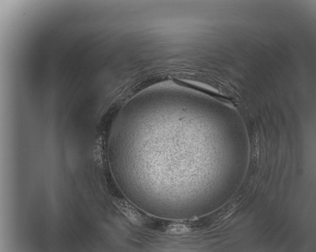 X0000060230519200511041234