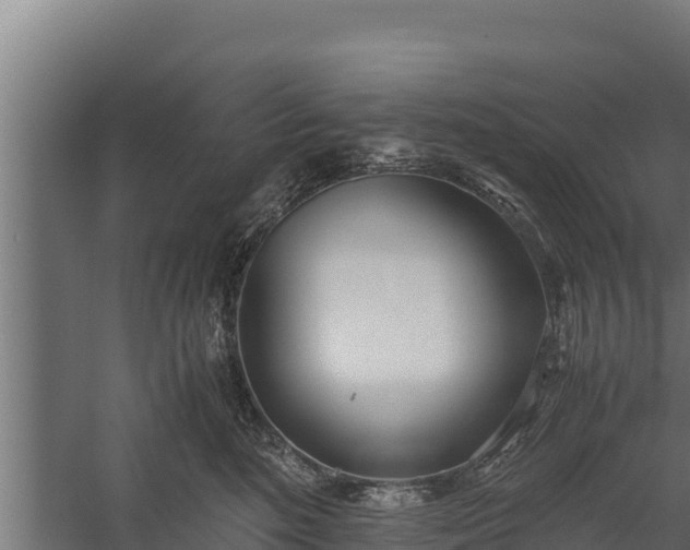 X0000060230520200511041234