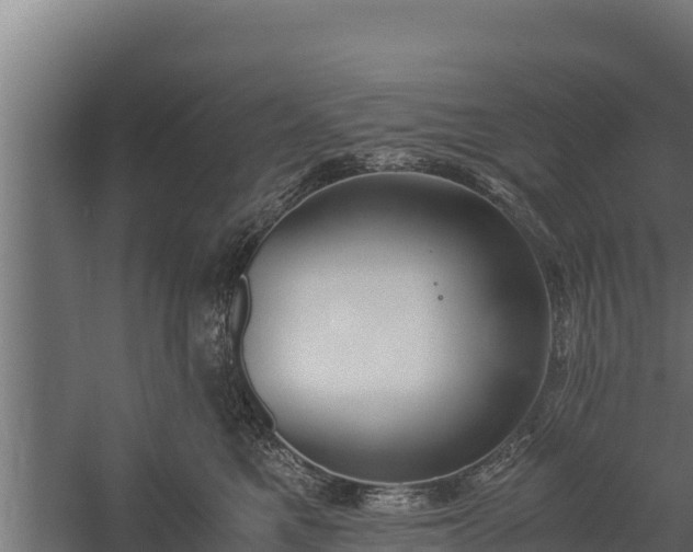 X0000060230521200511041234