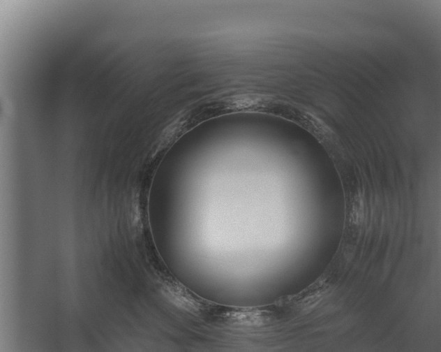 X0000060230524200511041234