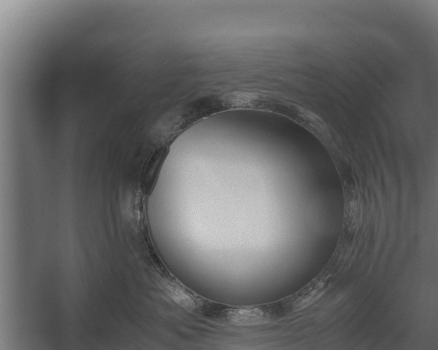 X0000060230525200511041234