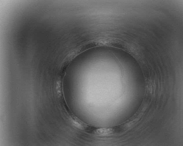 X0000060230526200511041234