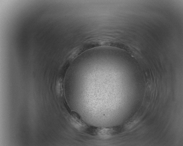 X0000060230527200511041234