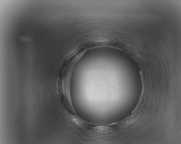 X0000060230528200511041234