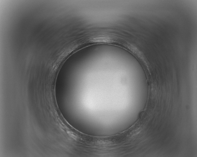 X0000060230529200511041233