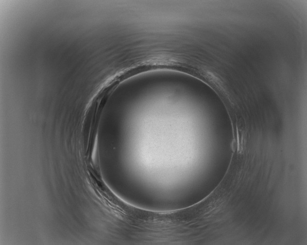 X0000060230531200511041233