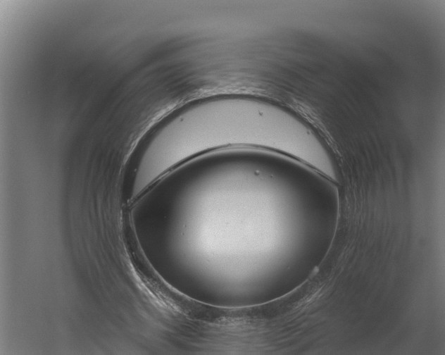 X0000060230534200511041233