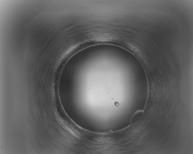 X0000060230535200511041233