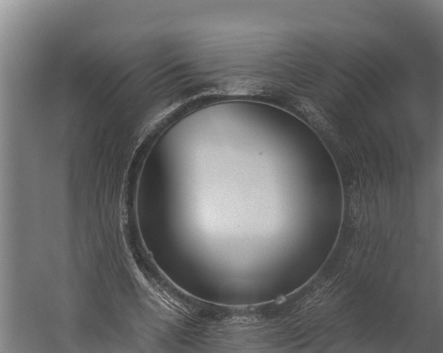 X0000060230536200511041233