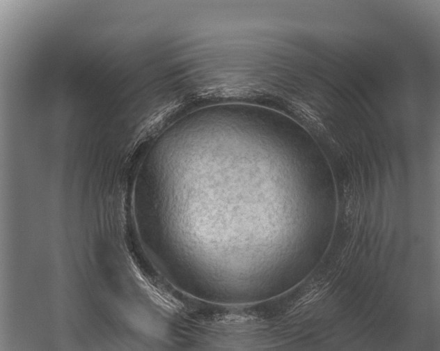 X0000060230542200511041233