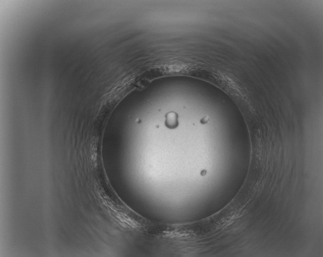 X0000060230545200511041233