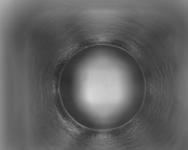 X0000060230546200511041233